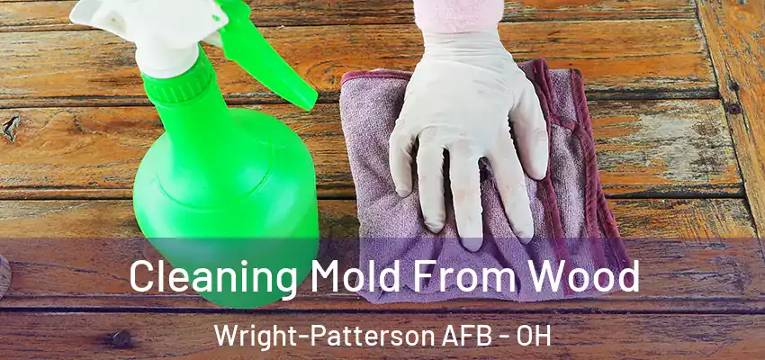 Cleaning Mold From Wood Wright-Patterson AFB - OH