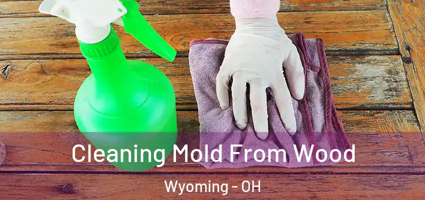  Cleaning Mold From Wood Wyoming - OH