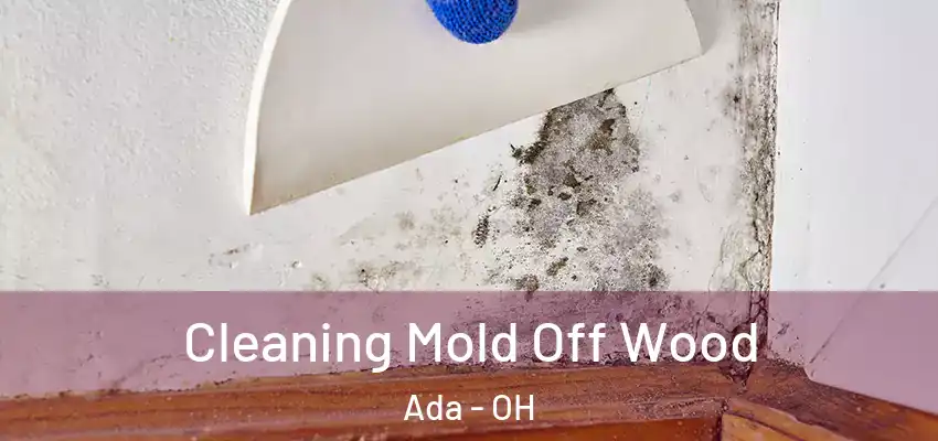 Cleaning Mold Off Wood Ada - OH
