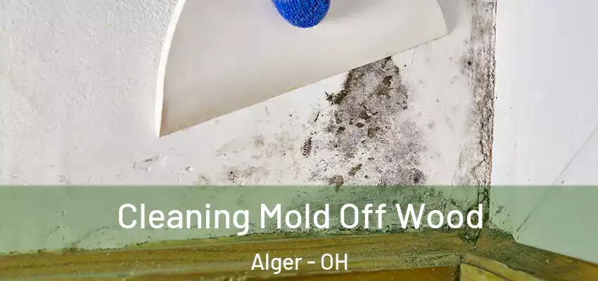  Cleaning Mold Off Wood Alger - OH