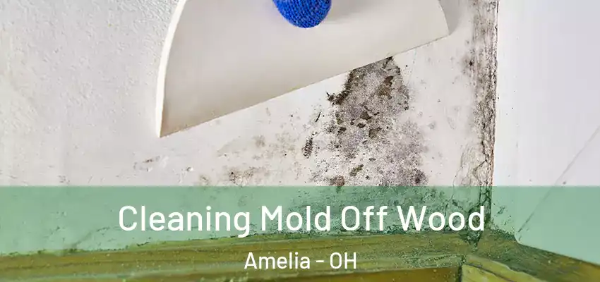  Cleaning Mold Off Wood Amelia - OH