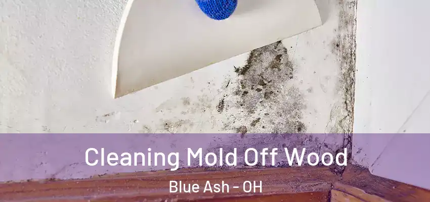  Cleaning Mold Off Wood Blue Ash - OH