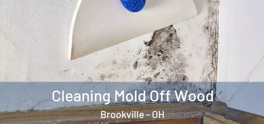  Cleaning Mold Off Wood Brookville - OH