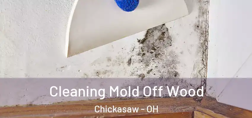  Cleaning Mold Off Wood Chickasaw - OH