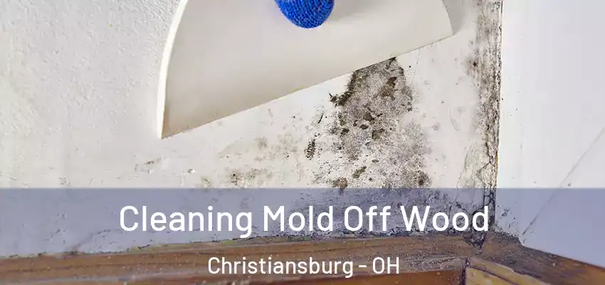  Cleaning Mold Off Wood Christiansburg - OH
