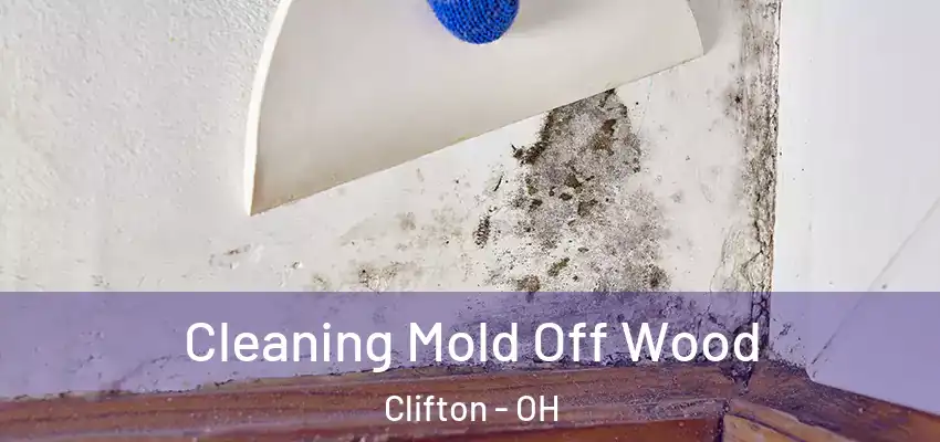  Cleaning Mold Off Wood Clifton - OH