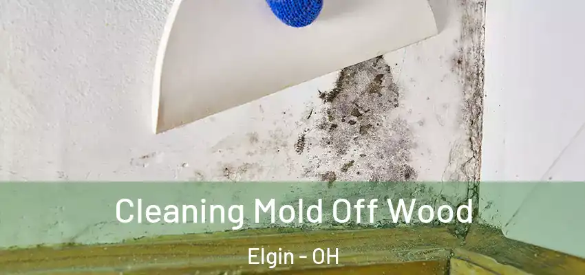 Cleaning Mold Off Wood Elgin - OH