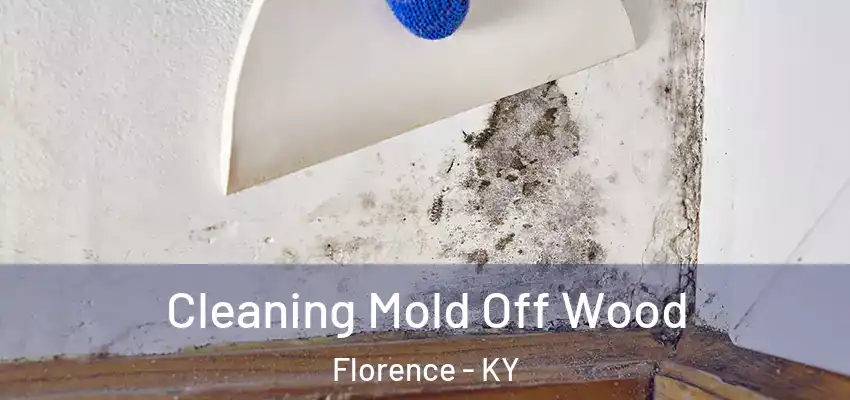  Cleaning Mold Off Wood Florence - KY