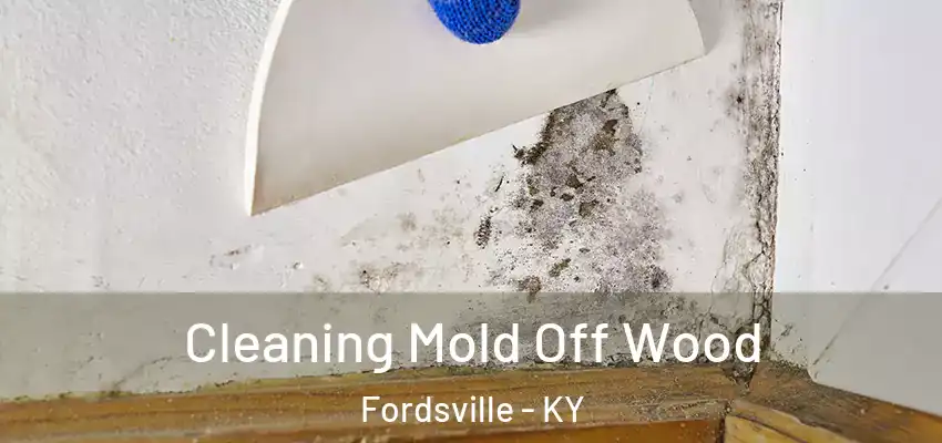 Cleaning Mold Off Wood Fordsville - KY