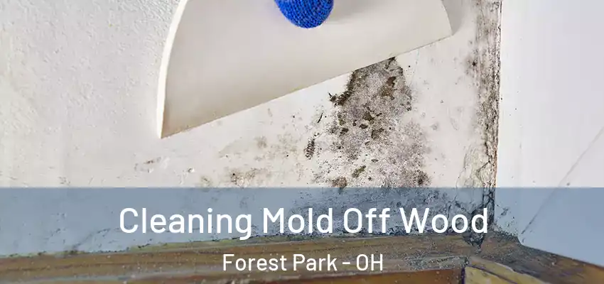  Cleaning Mold Off Wood Forest Park - OH