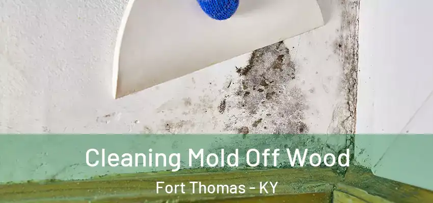  Cleaning Mold Off Wood Fort Thomas - KY