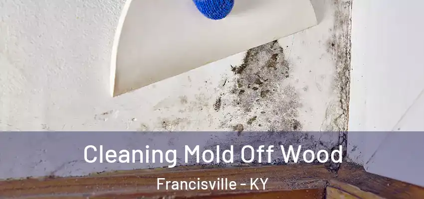 Cleaning Mold Off Wood Francisville - KY