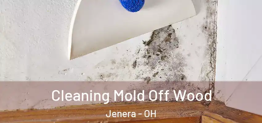  Cleaning Mold Off Wood Jenera - OH