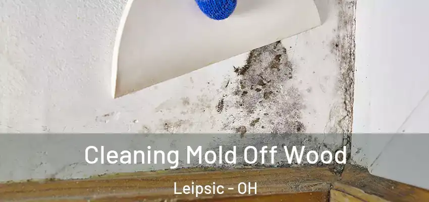  Cleaning Mold Off Wood Leipsic - OH