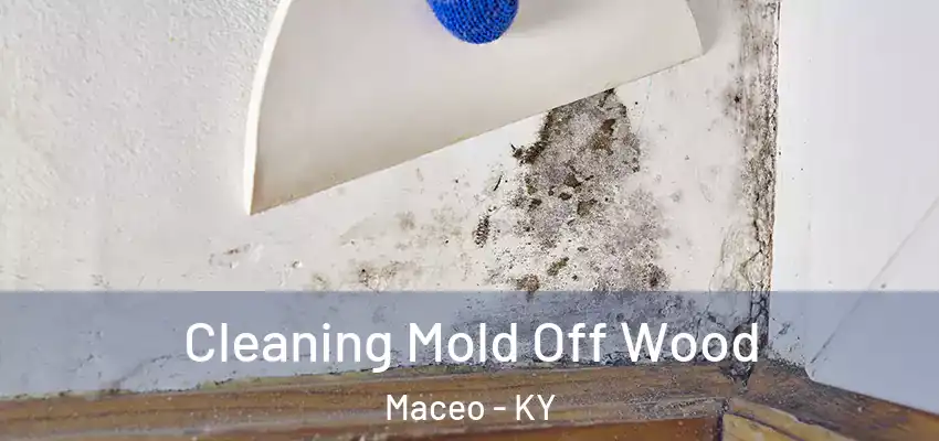 Cleaning Mold Off Wood Maceo - KY
