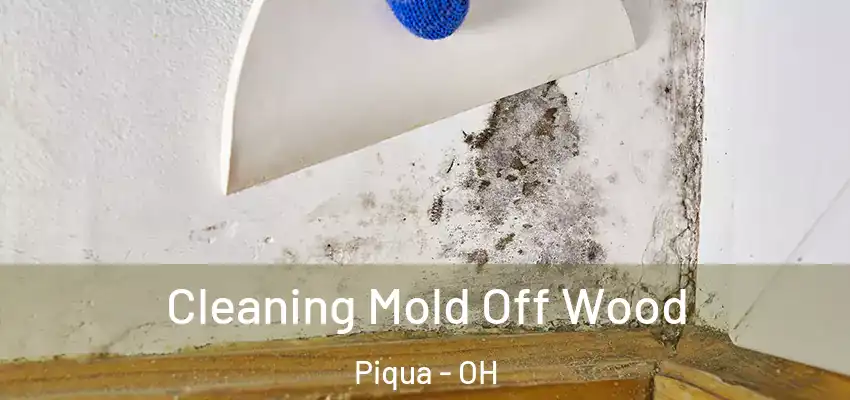  Cleaning Mold Off Wood Piqua - OH