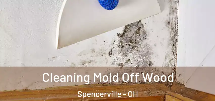  Cleaning Mold Off Wood Spencerville - OH