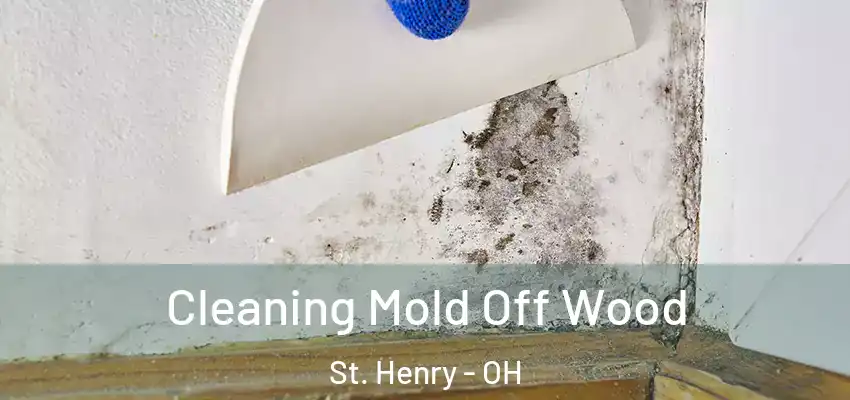 Cleaning Mold Off Wood St. Henry - OH