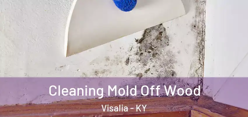  Cleaning Mold Off Wood Visalia - KY