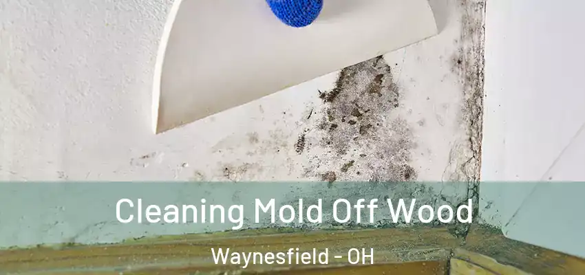 Cleaning Mold Off Wood Waynesfield - OH