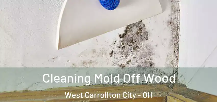 Cleaning Mold Off Wood West Carrollton City - OH
