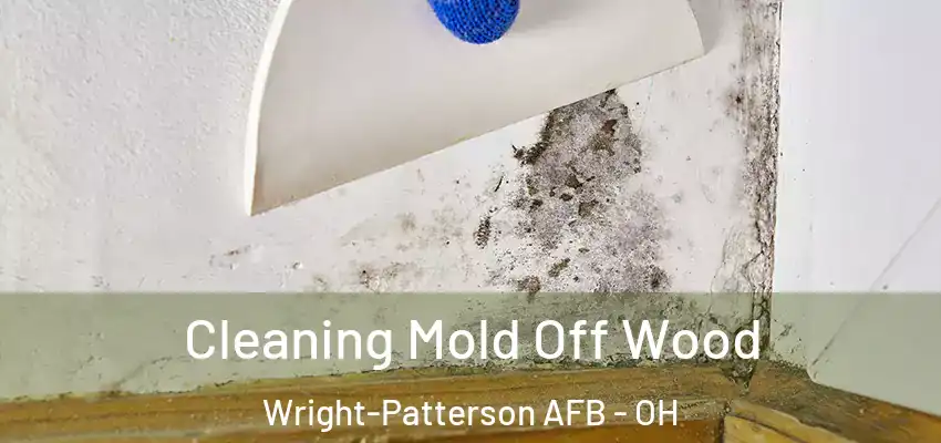 Cleaning Mold Off Wood Wright-Patterson AFB - OH