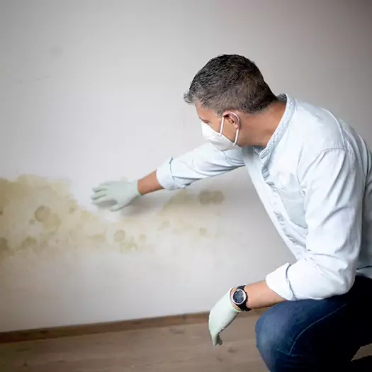 Trusted Mold Remediation and Removal Experts in Middletown, OH