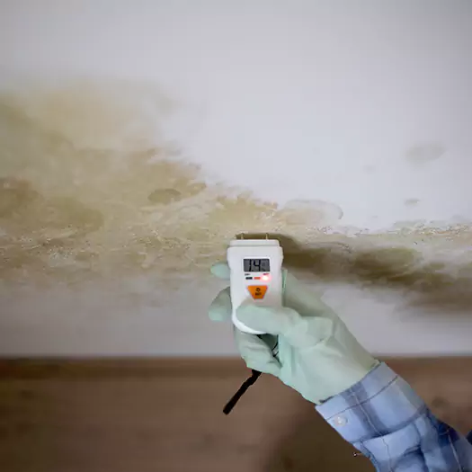Reliable Mold Inspection Experts in Middletown, OH