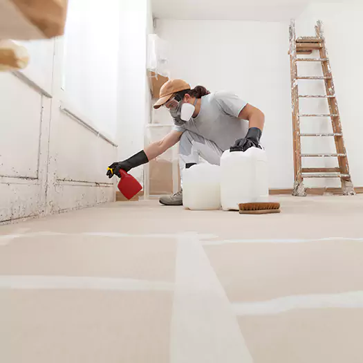 Reliable Mold Stain Remover Specialists in Middletown, OH