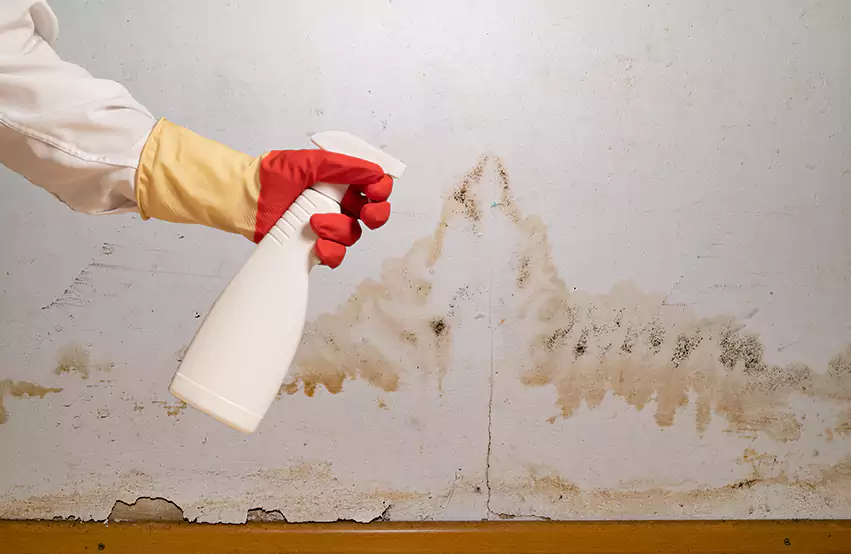 Prevent future mold in Middletown, OH