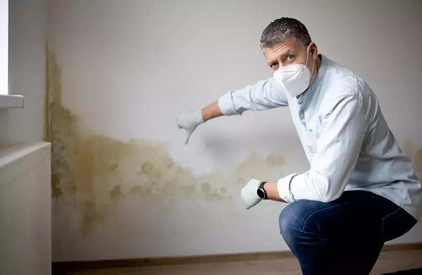 Mold Removal in Middletown, OH