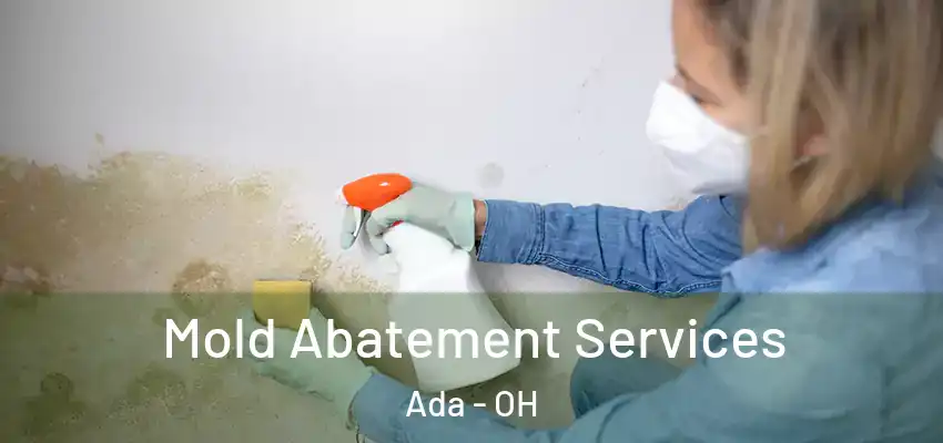 Mold Abatement Services Ada - OH