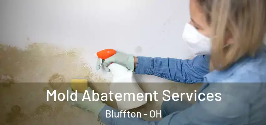  Mold Abatement Services Bluffton - OH