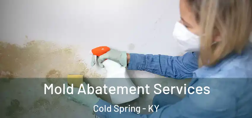 Mold Abatement Services Cold Spring - KY