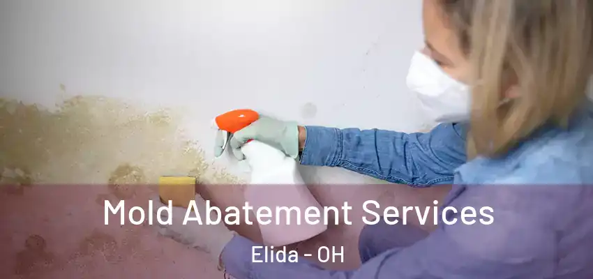 Mold Abatement Services Elida - OH