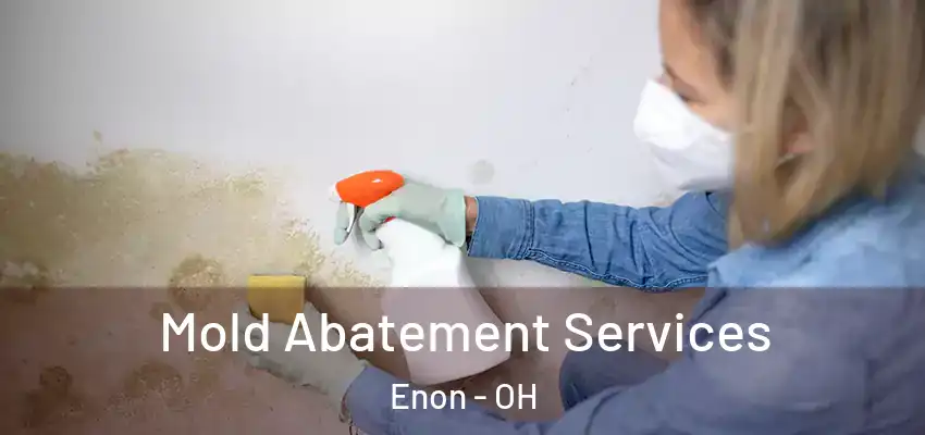 Mold Abatement Services Enon - OH