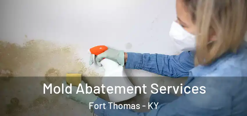  Mold Abatement Services Fort Thomas - KY