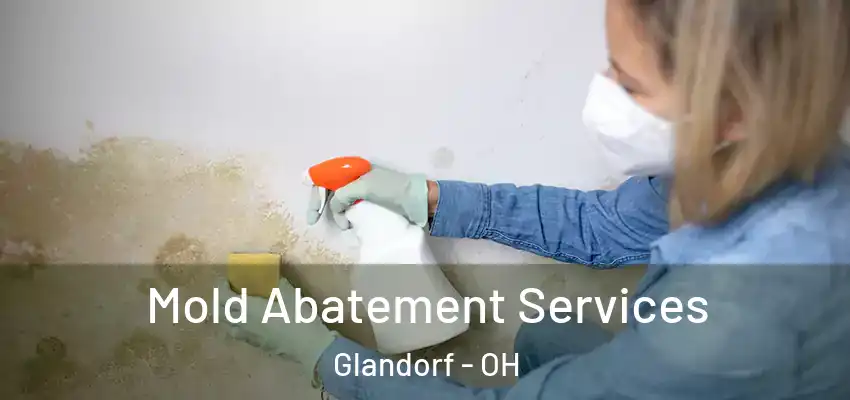 Mold Abatement Services Glandorf - OH