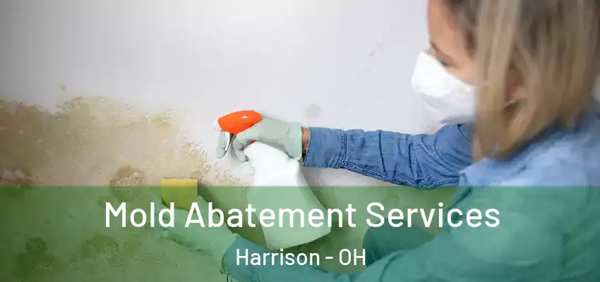  Mold Abatement Services Harrison - OH