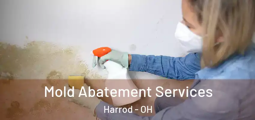 Mold Abatement Services Harrod - OH
