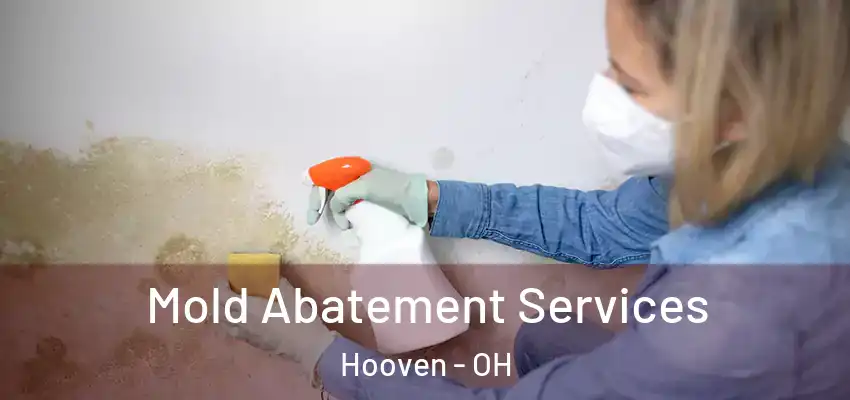 Mold Abatement Services Hooven - OH