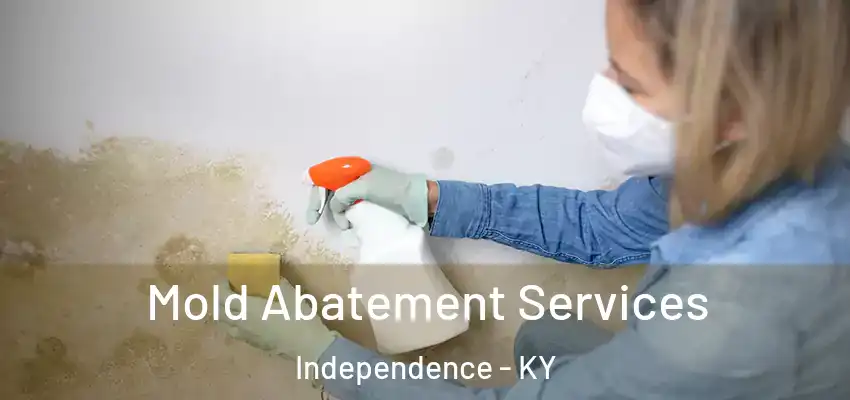 Mold Abatement Services Independence - KY