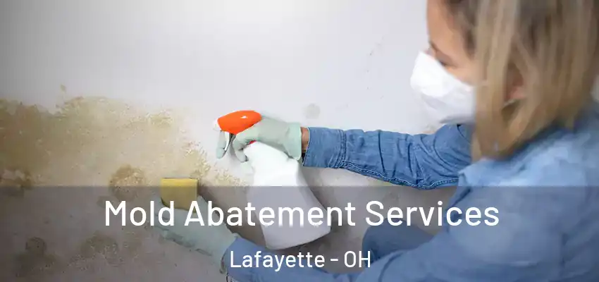 Mold Abatement Services Lafayette - OH