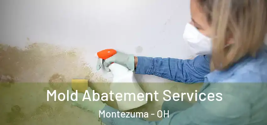 Mold Abatement Services Montezuma - OH
