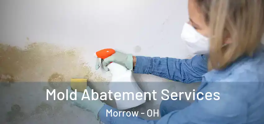 Mold Abatement Services Morrow - OH