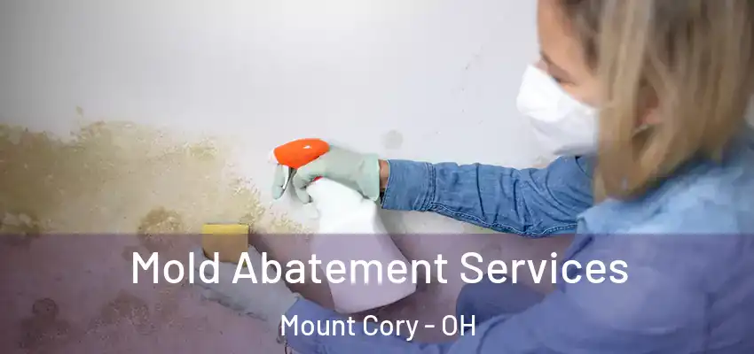 Mold Abatement Services Mount Cory - OH