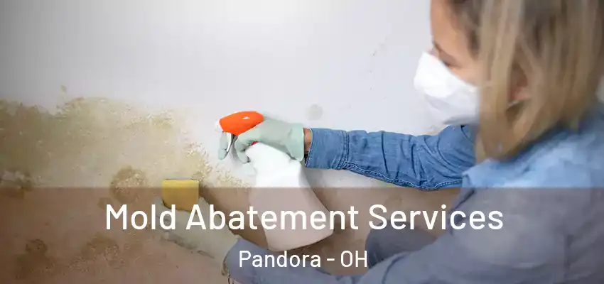 Mold Abatement Services Pandora - OH