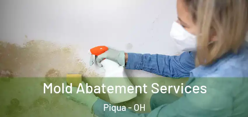 Mold Abatement Services Piqua - OH