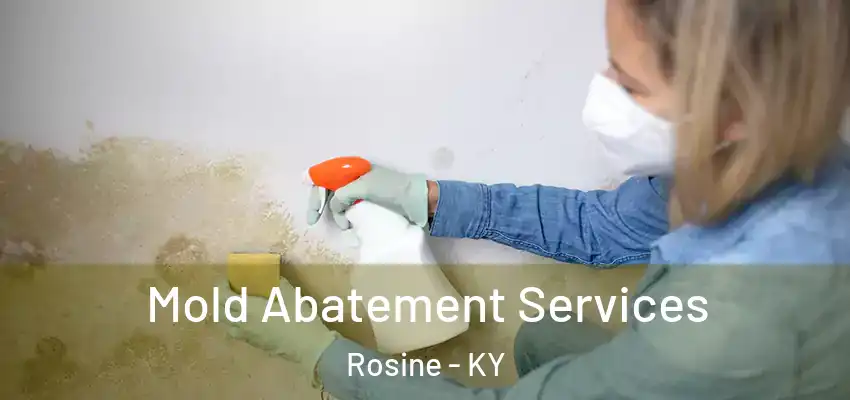 Mold Abatement Services Rosine - KY
