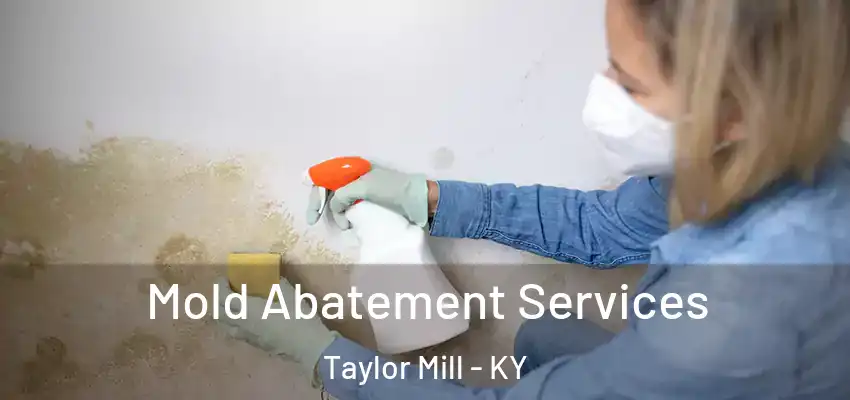 Mold Abatement Services Taylor Mill - KY